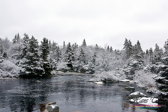 Late Winter Snowfall March 11,2016