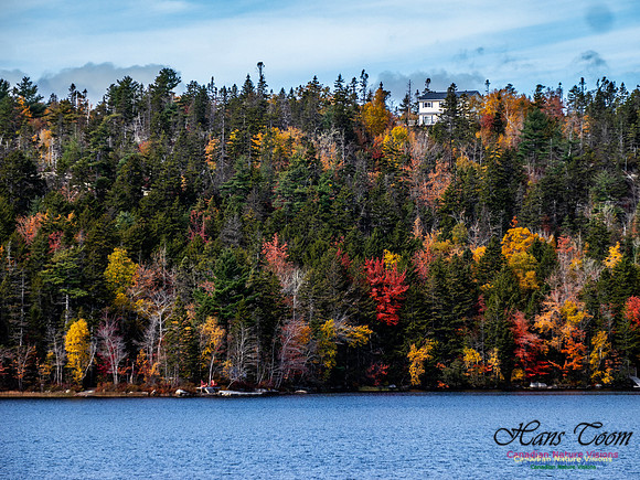 Nova Scotia in Fall 238