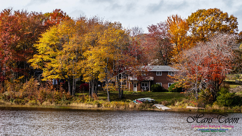 Nova Scotia in Fall 235