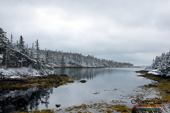 Late Winter Snowfall March 11,2016
