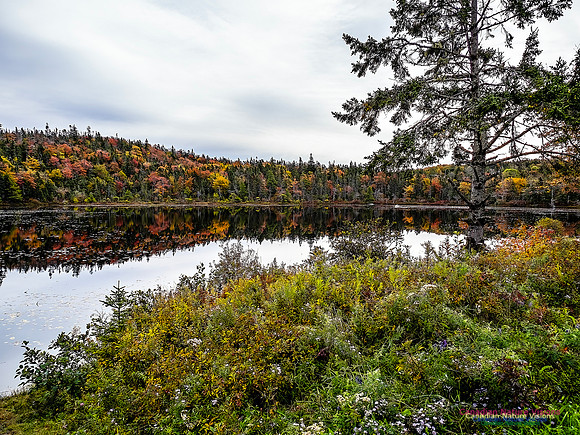 Nova Scotia in Fall 105