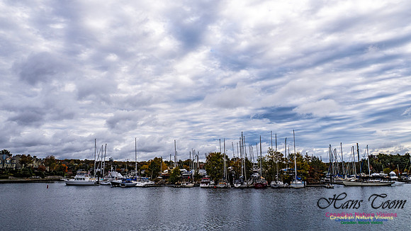 Nova Scotia in Fall 136