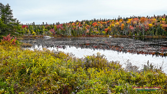 Nova Scotia in Fall 107