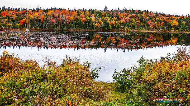 Nova Scotia in Fall 106