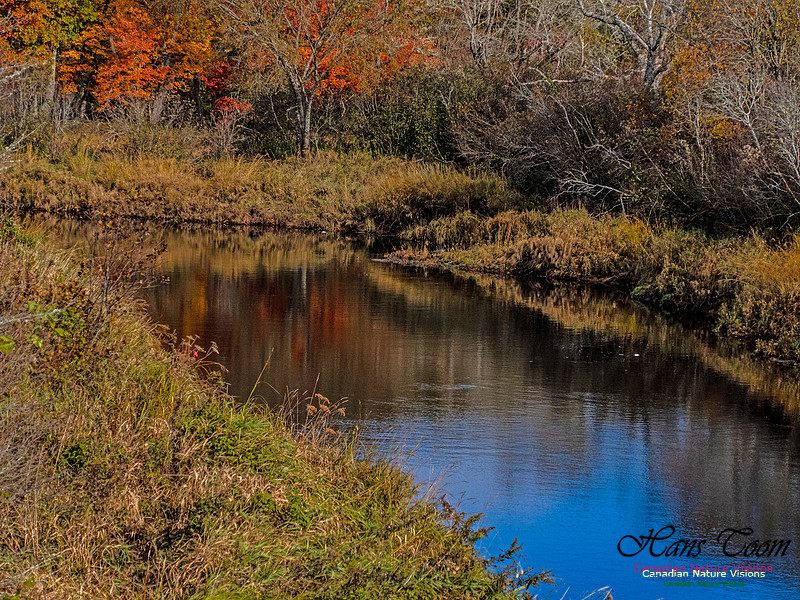 Nova Scotia in Fall 275
