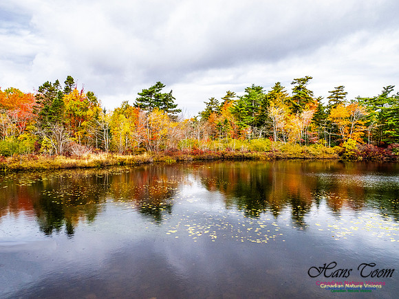 Nova Scotia in Fall 145