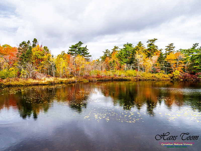 Nova Scotia in Fall 145