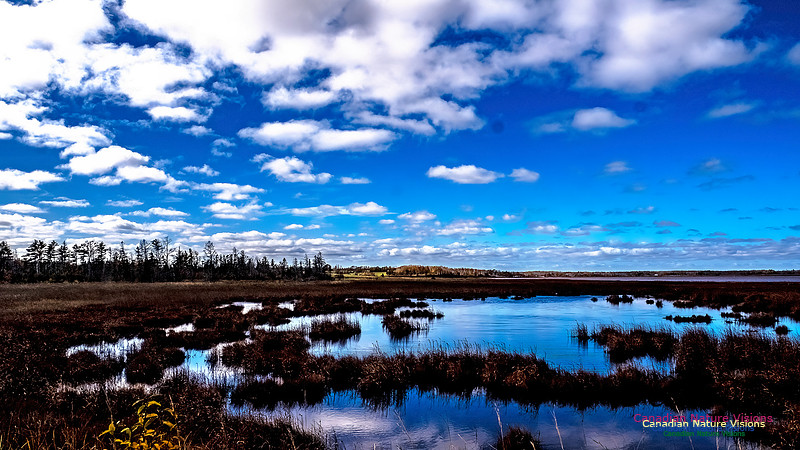 Nova Scotia in Fall 206