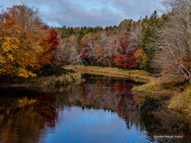 Nova Scotia in Fall 284