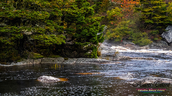 Nova Scotia in Fall 118