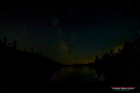 Night Sky Above Rees Lake 103