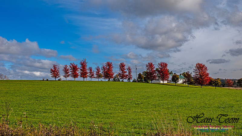 Nova Scotia in Fall 259