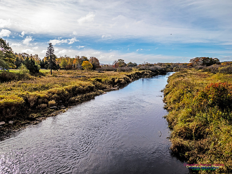 Nova Scotia in Fall 272
