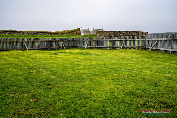 Fortress of Louisborg 100