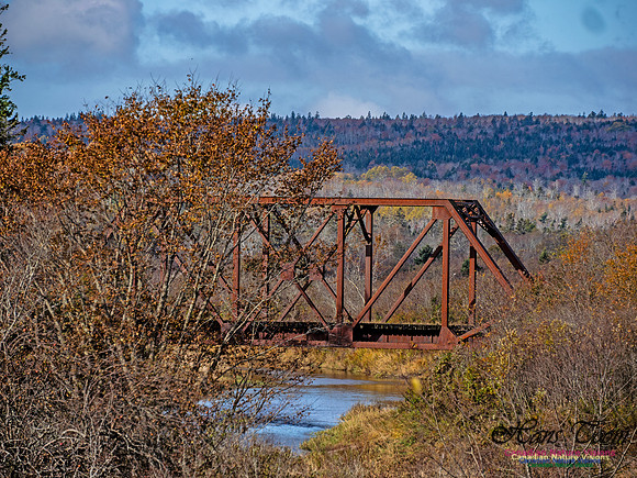 Nova Scotia in Fall 260