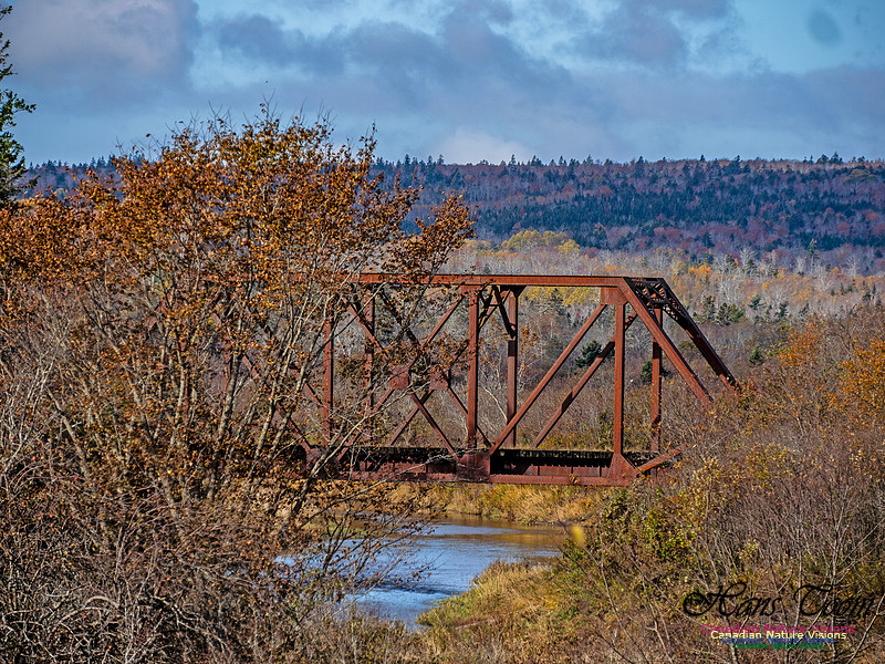 Nova Scotia in Fall 260