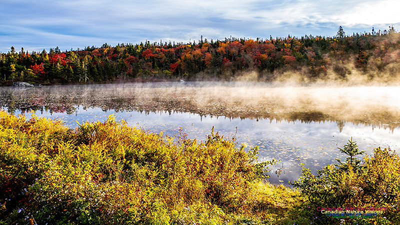 Nova Scotia in Fall 130
