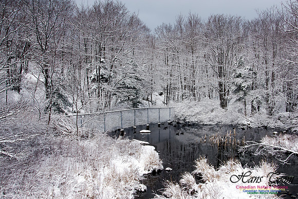 Late Winter Snowfall March 11,2016