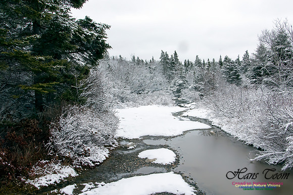 Late Winter Snowfall March 11,2016