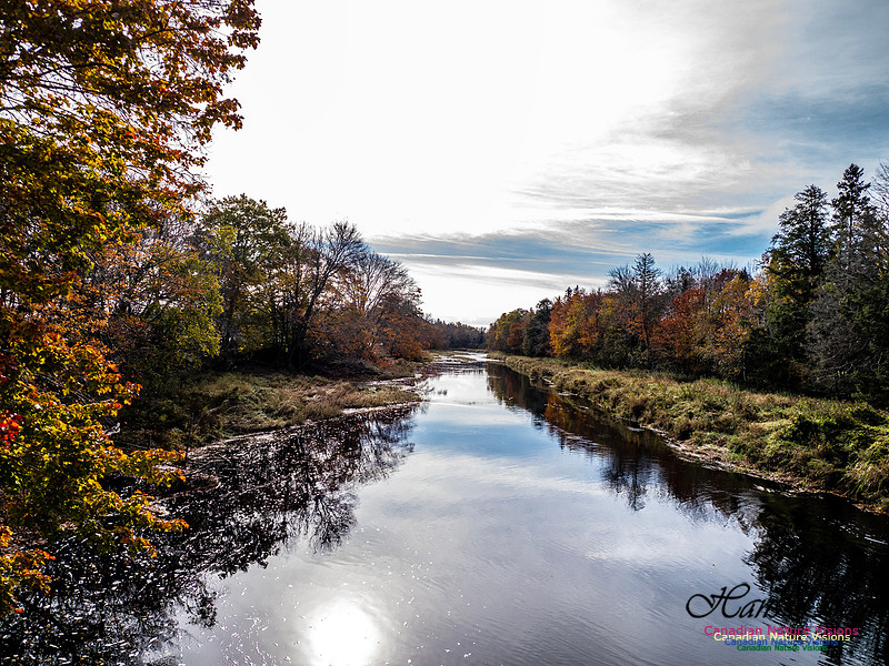 Nova Scotia in Fall 286