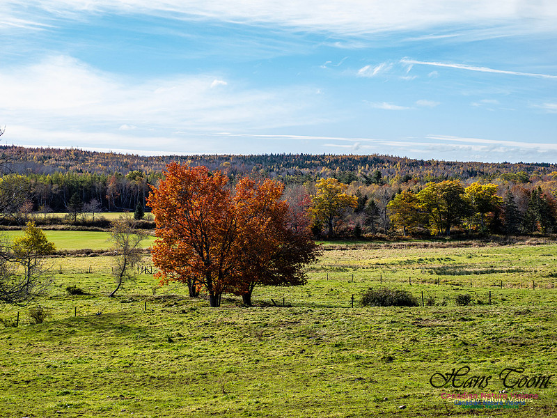 Nova Scotia in Fall 252