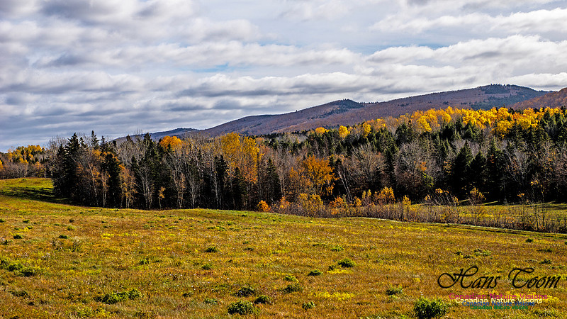 Nova Scotia in Fall 212