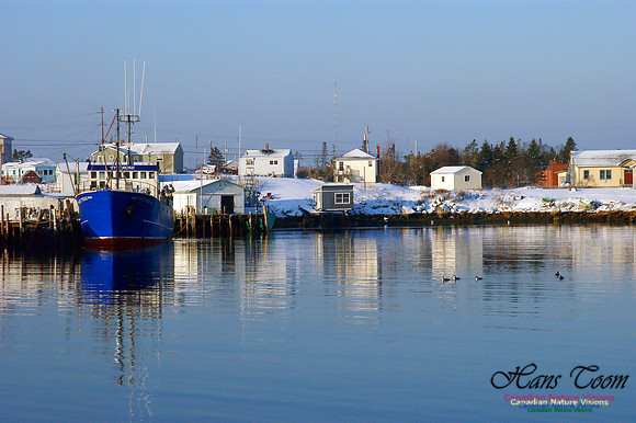 Sambro Harbour