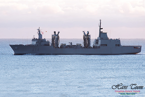 SPS Patino A14