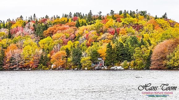 Nova Scotia in Fall 155