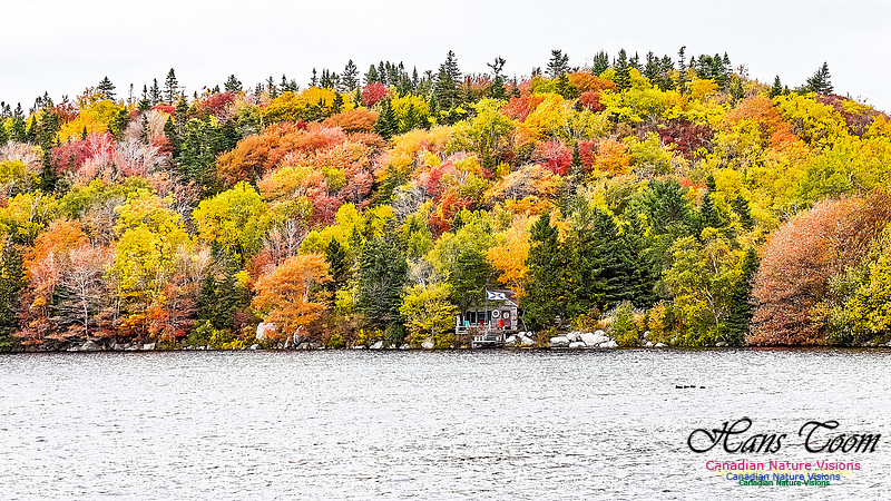 Nova Scotia in Fall 155