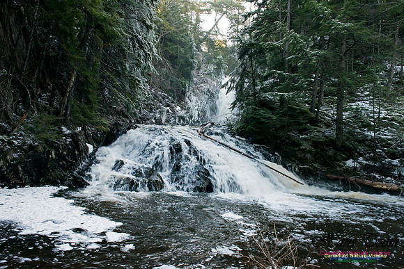 Butchers Falls