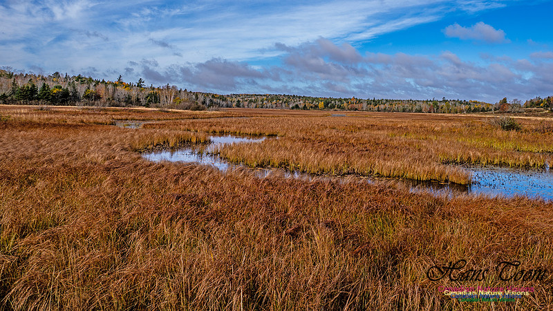 Nova Scotia in Fall 278