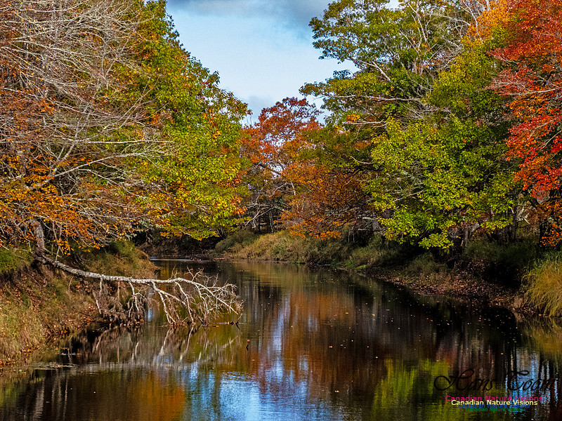 Nova Scotia in Fall 268