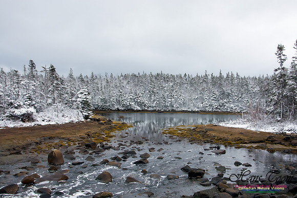 Late Winter Snowfall March 11,2016