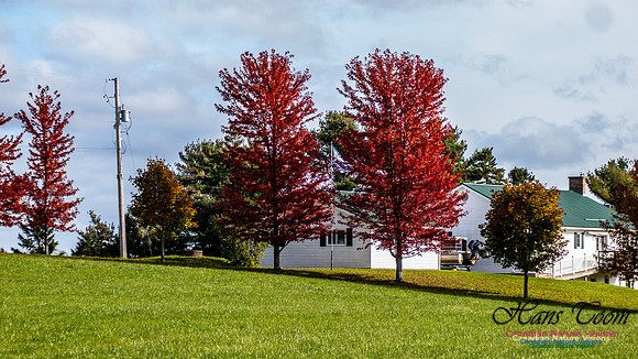 Nova Scotia in Fall 258