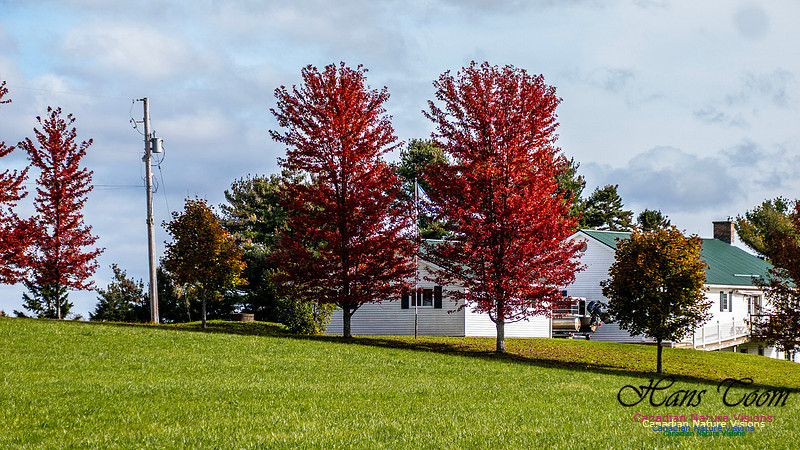 Nova Scotia in Fall 258