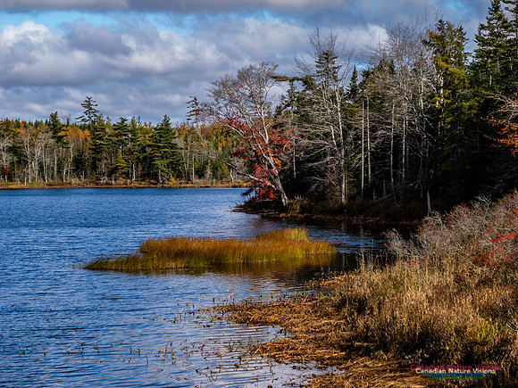 Nova Scotia in Fall 250