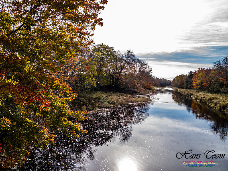 Nova Scotia in Fall 285