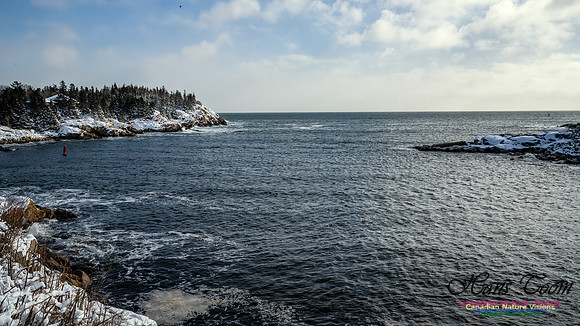 Nova Scotia Winter 337