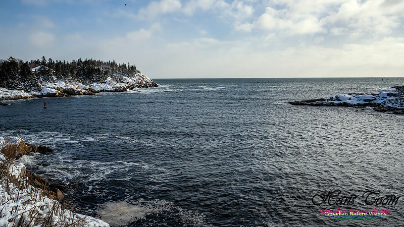 Nova Scotia Winter 337