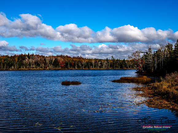 Nova Scotia in Fall 247
