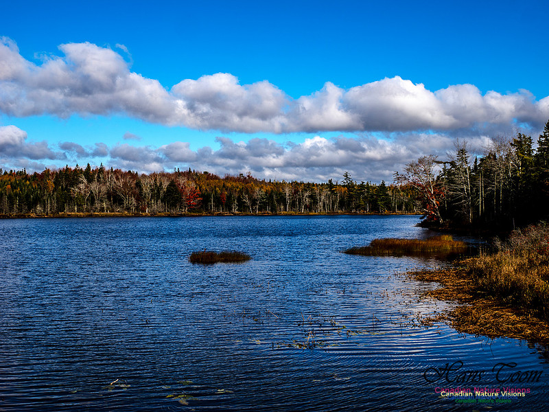 Nova Scotia in Fall 247