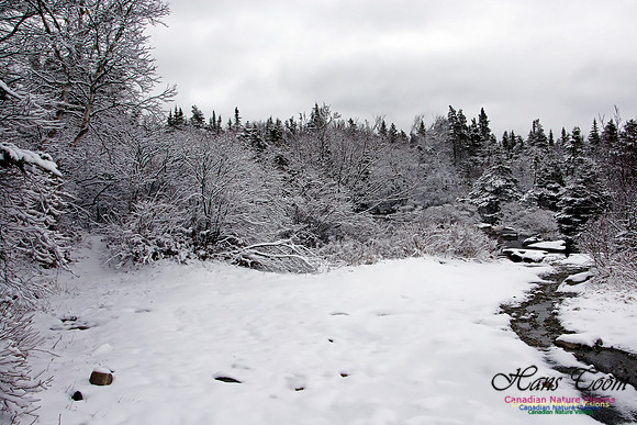 Late Winter Snowfall March 11,2016