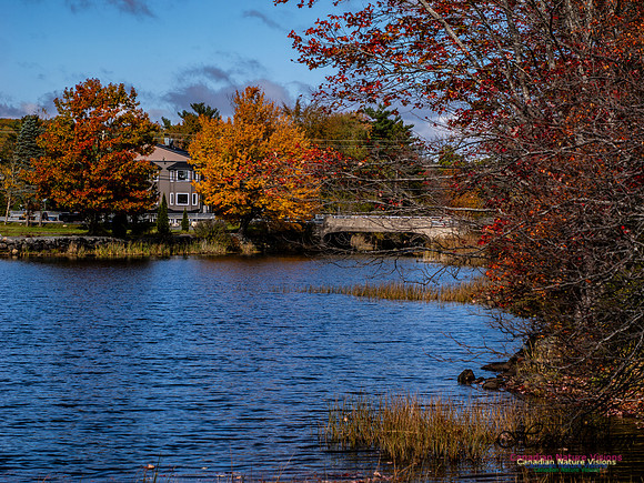 Nova Scotia in Fall 234