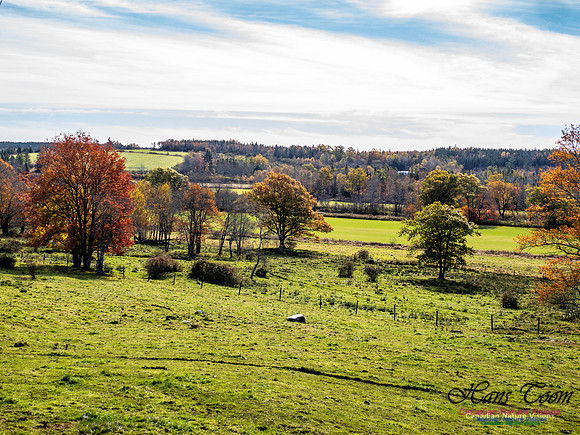 Nova Scotia in Fall 251