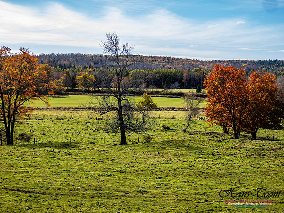 Nova Scotia in Fall 253