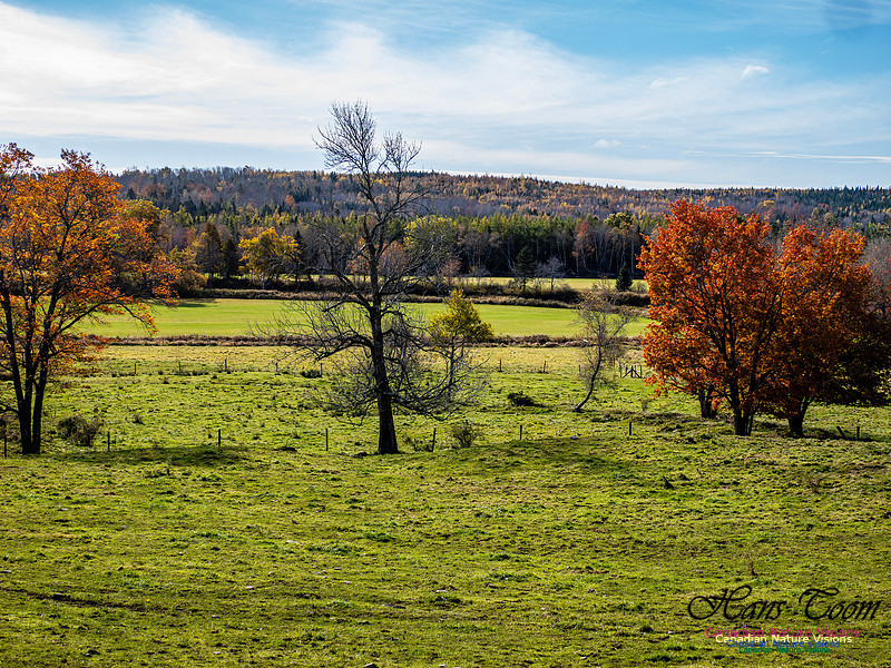 Nova Scotia in Fall 253