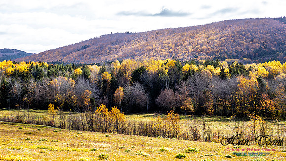 Nova Scotia in Fall 214