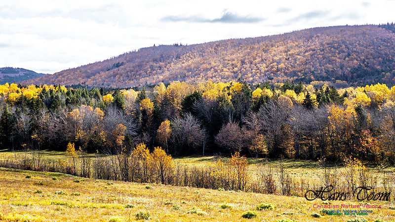 Nova Scotia in Fall 214