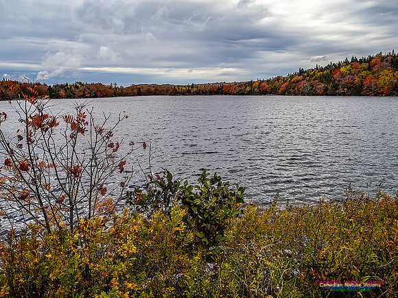 Nova Scotia in Fall 154